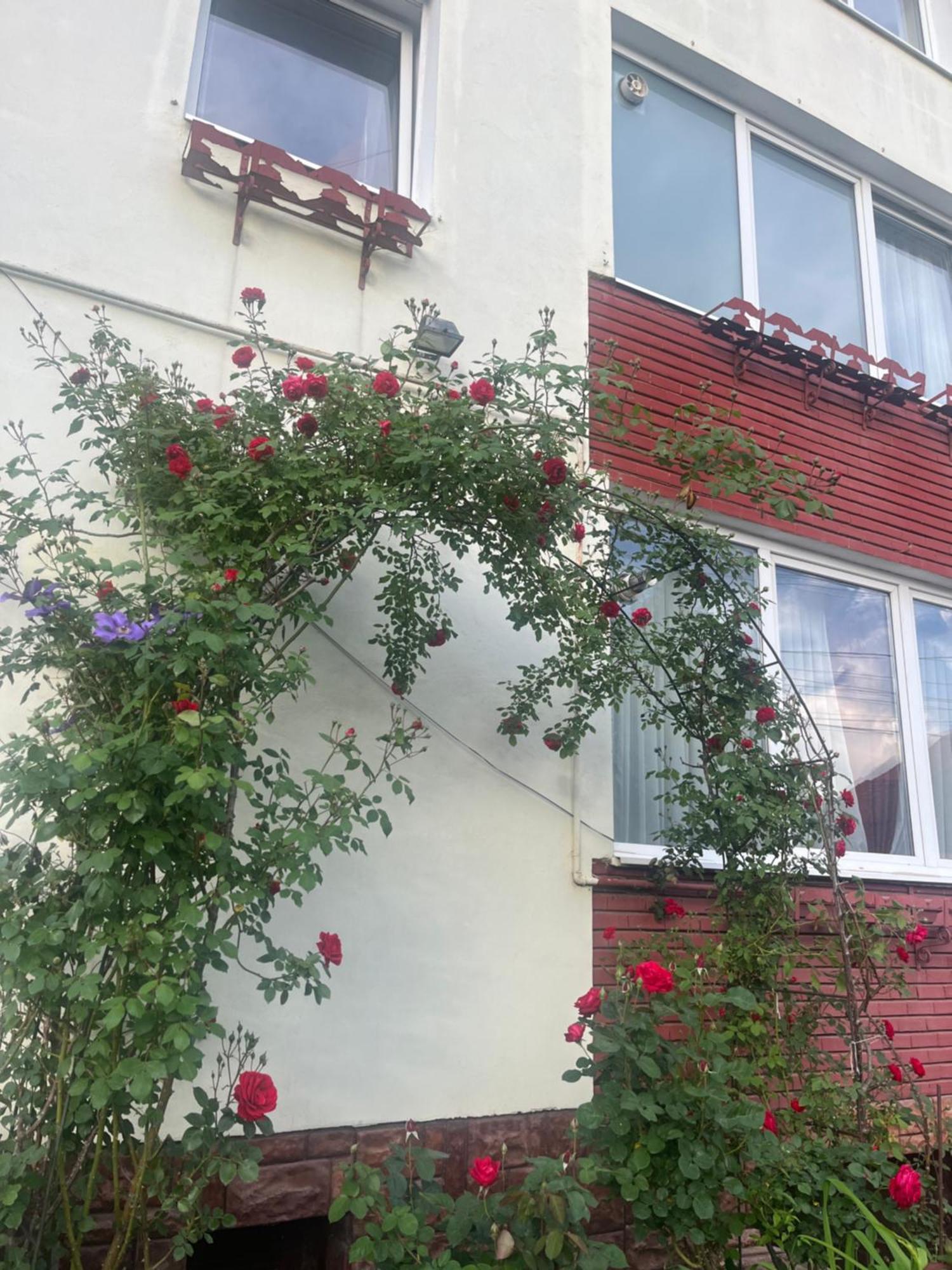 Hotel Casa Conti Sibiu Exteriér fotografie